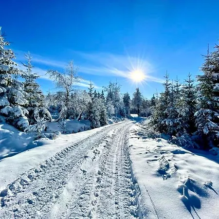 Apartamento Silver - - Góry Sowie