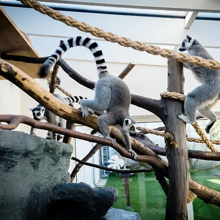 Silver - - Góry Sowie