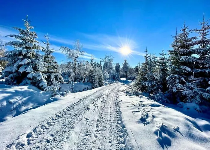 アパート Silver - - Gory Sowie