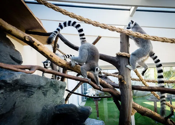 Silver - - Gory Sowie