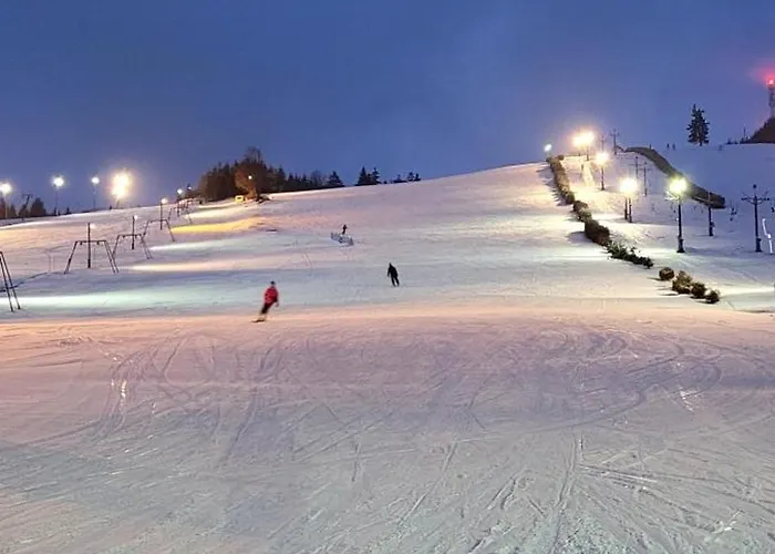 アパート Silver - - Gory Sowie