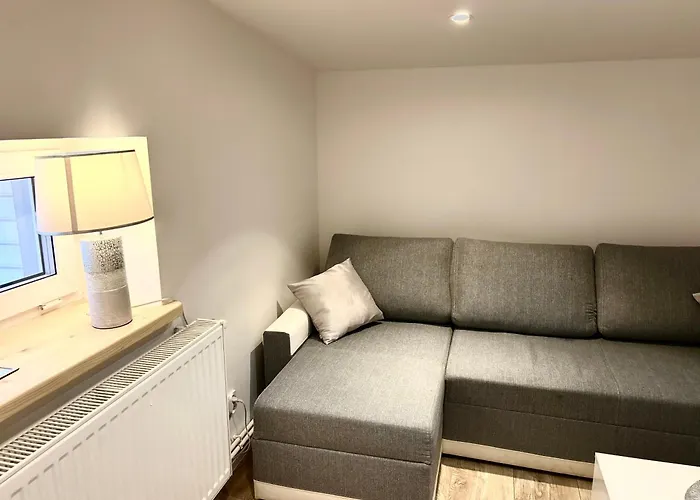 アパート Silver - - Gory Sowie グウシツァ