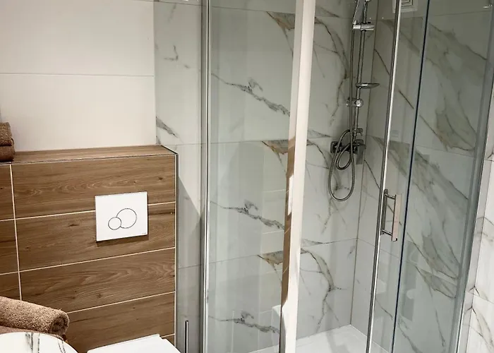 Silver - - Gory Sowie グウシツァ